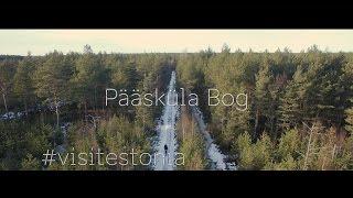 Travel Estonia - Pääsküla Bog - 4K