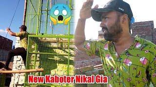 Khokhar Bhai Ka New Kaboter Urh Gia | Babar Pigeons Club