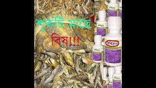 সাবধান!! !  শুটকি মাছ খাচ্ছেন না  বিষ খাচ্ছেন ??