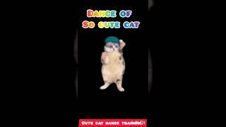 cute cat dance#cat #shorts #funny