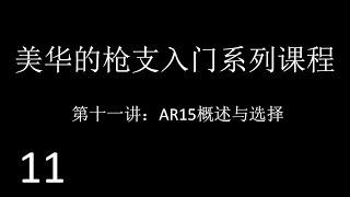 美国华人的枪支入门系列课程（十一）AR15概述与选择