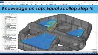 Knowledge on Tap: Equal Scallop Step In