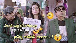 Brahmanandam Ultimate Comedy Scene | Latest Telugu Comedy Scenes | Bhavani Comedy Bazaar