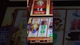 HUGE JACKPOT WIN ON THE CARNIVAL VALOR! I GOT ALL 15 HEADS ON BUFFALO REVOLUTION!!! OMGGGG!!!!