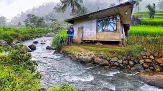 DIJAMIN BETAH MENIKMATI HIDUP DI KAMPUNG YANG INDAH ALAM DESANYA, SUASANANYA ADEM, AYEM & TENTRAM