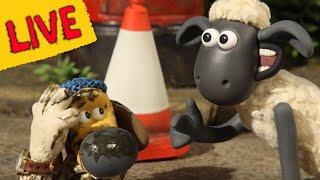 LIVE - Shaun The Sheep  Full Episodes Relax this Spring⭐️ Kids Cartoons