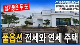 [매물번호0292] 제주도 살기좋은 두곳 전세와 년세 풀옵션 주택