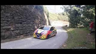 37° Rally Piancavallo 2024 ACTION & PURE SOUND [FULL HD]