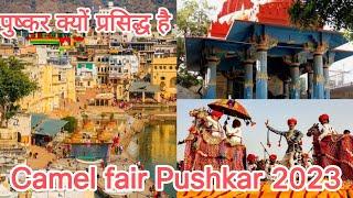 Pushkar tour | places to visit in Pushkar | Pushkar camel fair Rajasthan, India