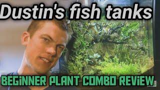 Dustins Fish tanks: beginner plant combo review!