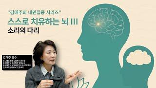 스스로 치유하는 뇌 III  소리의 다리
