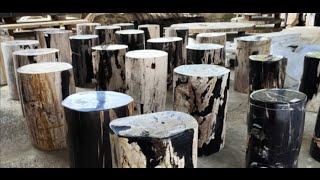 Indonesian Petrified Wood Wholesale