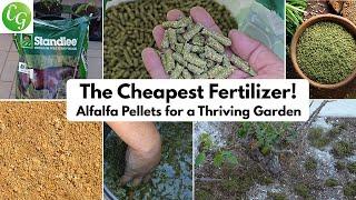 Cheapest Natural Fertilizer for a Thriving Garden | Alfalfa Pellets Explained