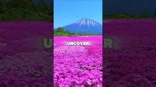 Hokkaido: Japan’s Untold Northern Frontier – From Ainu Roots to Modern Wonders! #hokkaido  #japan