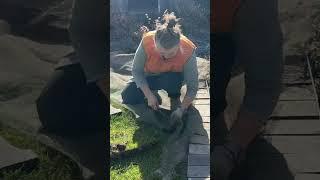 С вами не соскучишься