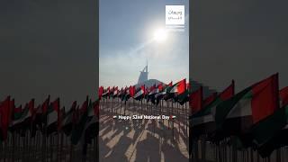 HAPPY 52ND UAE NATIONAL DAY  #uae #unionday #nationalday