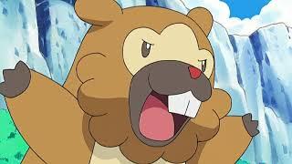 bidoof