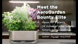 Pruning Lettuce with AeroGarden Bounty