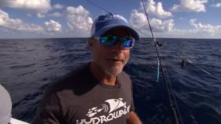 Bass Anglers for Saltwater Conservation Off Shore Fishing Port O Connor