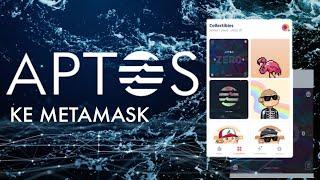 Cara Menambahkan Aptos Ke Metamask