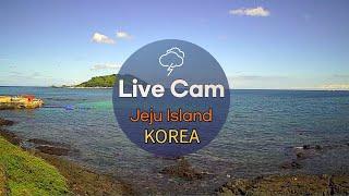 펀제주 실시간 제주도 날씨 제주 협재 바다 라이브캠  Jeju Island in South Korea Live Cam