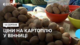 На 5 гривень дорожче, ніж минулого року: ціни на картоплю на вінницьких ринках