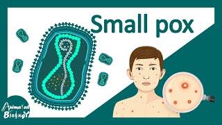 Small Pox | Variola virus | Small pox vs chicken pox | Virology