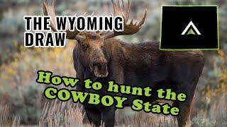 Understanding the 2024 Wyoming Draw