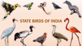 State Birds of India   | Birds | Indian Birds
