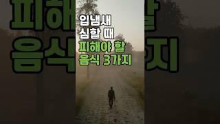 입냄새 심할 때 피해야 할 음식 3가지 #건강정보