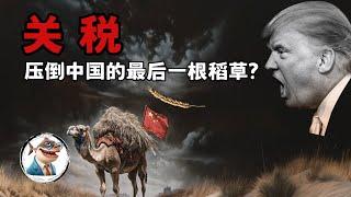 关税会成为压倒中国经济的最后一根稻草吗?「宏观经济看世界」