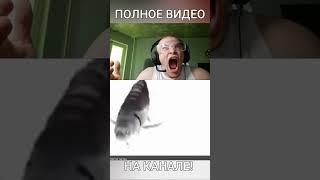 ЧТО ОН ДОНАТИТ!? #дерзко #derzko69 #shorts