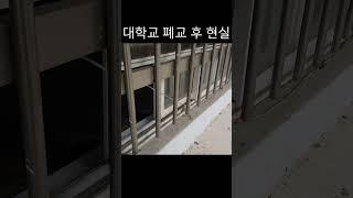 폐교 후 5년 된 대학교 현재모습 #대구미래대학교 #폐교