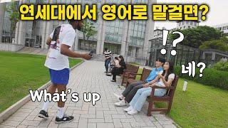 연세대학교 학생들에게 영어로 말걸면 생기는 일ㅋㅋ 연대생들의 충격 현실, 로드쇼 연대편(미국인 반응)