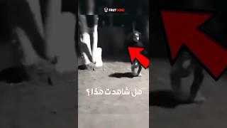 مقاطع غريبة رصدتها كاميرات المراقبة صدفة لن تصدقها شاهد بسرعة !!!