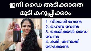 ഇനി ഒരു ഡൈയും വേണ്ടേ വേണ്ട  5 minutes ഇത് തലയിലിട്ടോളൂ