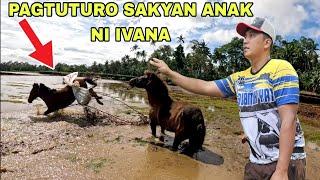 Nagwala ang bagong kabayo...Traditional na  Pagtuturo paano  sakyan ang kabayo anak ni ivana