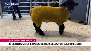 AMAZING! See Ram Sold For 44,000 Euros In Ireland