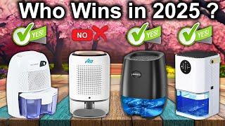 The 10 Best Dehumidifiers OF 2025, Tested And Reviewed