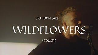 Wildflowers (Acoustic) - Brandon Lake