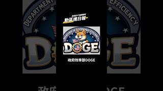 ️馬斯克暗示美國稅局將接受政府效率部(DOGE)審計，或大砍200億美元預算 #cryptonews #比特幣 #美國政府 #doge #政府效率部 #馬斯克 #elonmusk #國稅局