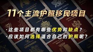 11个主流护照移民项目盘点！如何选择适合自己的海外护照呢？#小国护照    #投资入籍 #护照移民 #双重国籍 ##海外身份规划