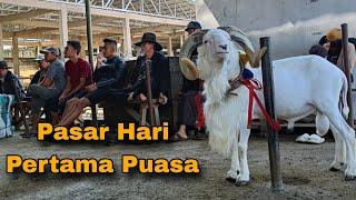 Hari Pertama Puasa Pasar Tetap Buka, Masih Ada Domba Mewah, Harganya ??