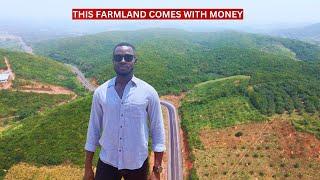 Farmland With Valuable Trees Is For Sale In Ghana | It's Close To Safari Valley