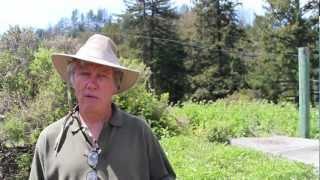 Dry Farming at Molino Creek Farm Collective