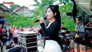 FULL ALBUM CAMELIA MUSIC - PARTY REMACO X DOPING - CEPOGO KEMBANG JEPARA