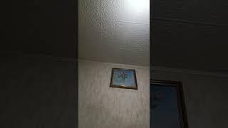 18.06.2025 Домашние песни / Рубеж / Илья Халтурин авт. и я
