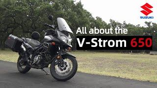 Everything You Need to Know: Suzuki V Strom 650