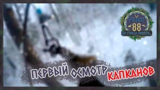 Регион 88 | Первый осмотр капканов