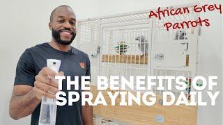 Why You MUST Spray Your Parrot DAILY! | Essential Care Tips